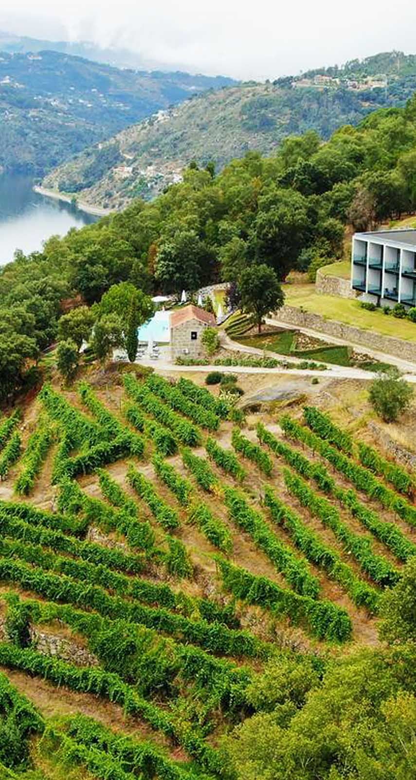 Douro Palace Hotel Resort & Spa